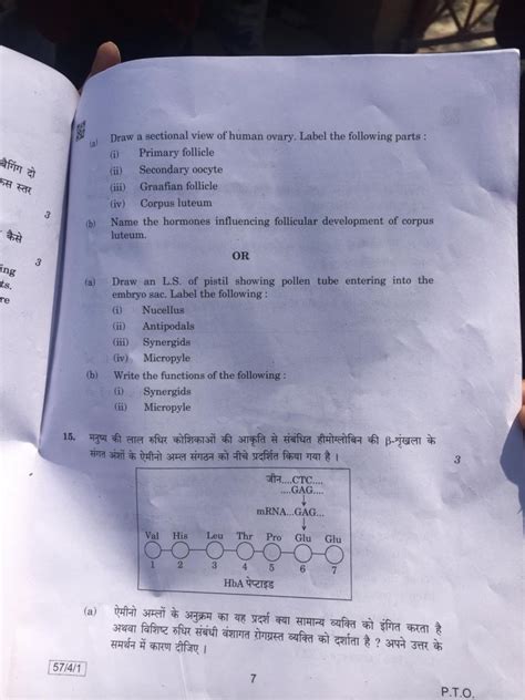 CBSE Class 12 Biology paper analysis: Short paper with direct questions ...