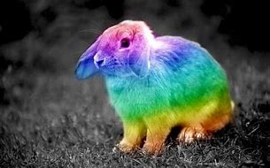 Image result for Rainbow Bunny Sanrio