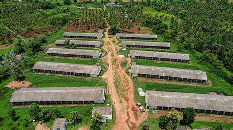 Animal Nutrition Products | Animal Feed Supplements