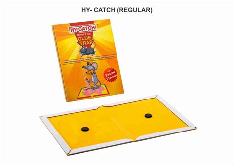 Regular Cardboard Rat Glue Trap Manufacturer, Supplier from Palghar