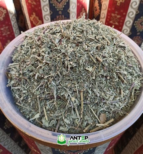 Yarpuz Otu Bitkisi Fiyatları - Antep Yöresel Ürünler