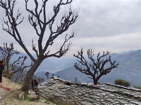 THE WOMEN'S VILLAGE- MATHOLI (Maugh) - Guesthouse Reviews & Photos ...