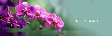 Buy Bengali Books Online - Ananda Publishers