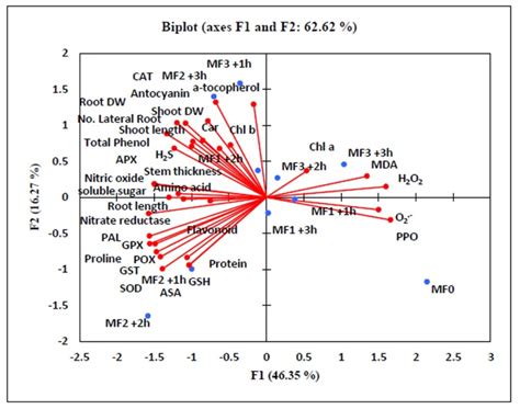 Impact of the Static Magnetic Field on Growth, Pigments, Osmolytes ...