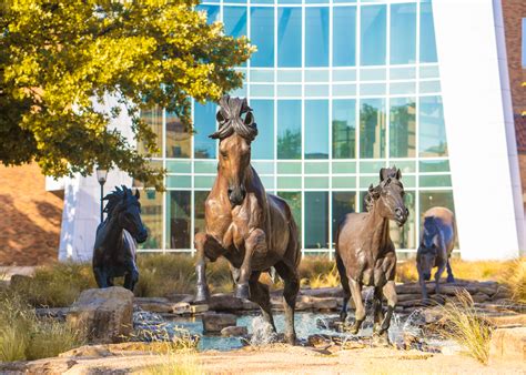 Midwestern State University - Modern Campus Catalog™