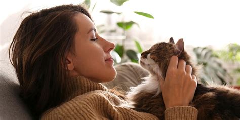 Psychological Benefits of Having a Cat | Purina US