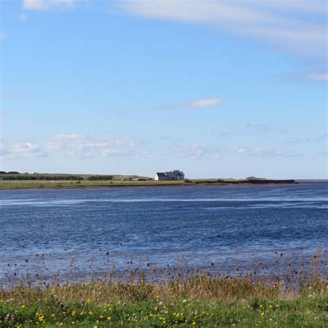 MALPEQUE BAY (2026) All You Need to Know BEFORE You Go (with Photos ...