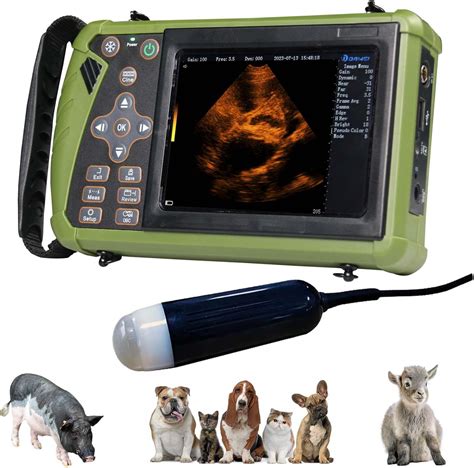 DAWEI Portable Ultrasound Machine Vet Ultrasound Chile | Ubuy