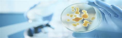 Premium Bacterial Nutrients - Boost Growth & Productivity | [Your Brand ...