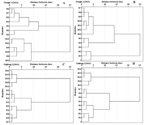 Characterization and Grouping of All Primary Branches at Various ...