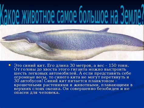 Презентация на для 1 класса