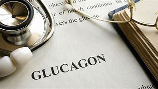 Glucagon 的图像结果