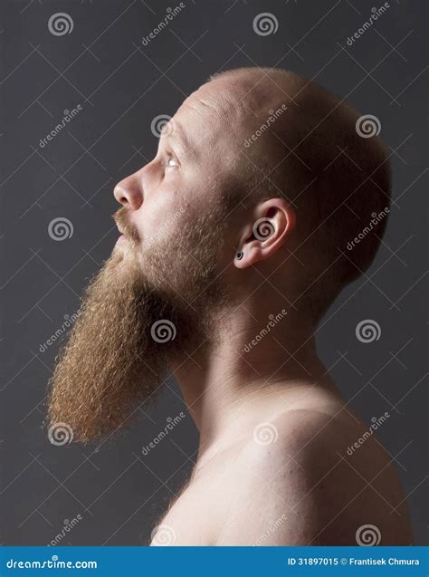 Man with Goatee Beard stock image. Image of individuality - 31897015