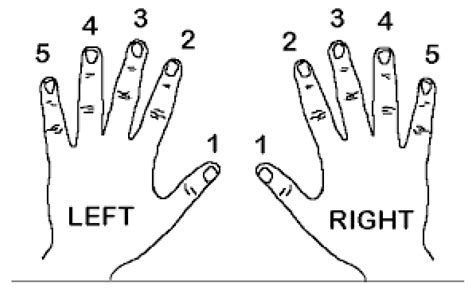 Generating Fingerings for Piano Music with Model-Based Reinforcement ...