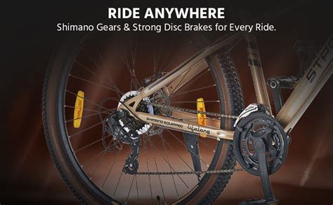 Buy Lifelong Strong 29 Multi-Speed Cycle| Steel Frame, Threadless Alloy ...