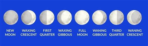 2. Explain the phases of moon with the help of a diagram. - Brainly.in