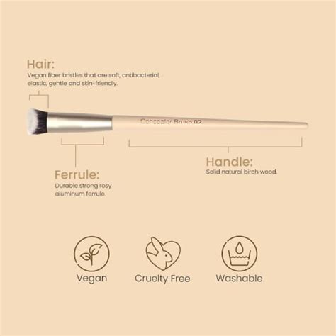 Buy Concealer Brush 02 Online in India | Milagro Beauty
