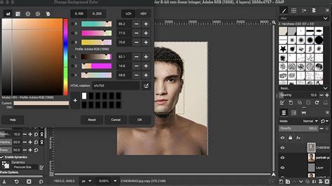 Face Swap Using GIMP 的图像结果
