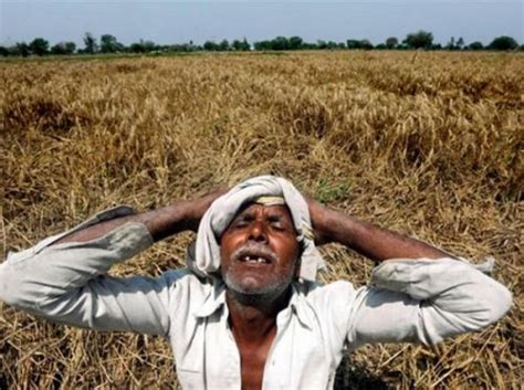 毛克疾：为什么这么多印度农民要自杀？_观点_环球视野_四月网