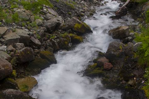 Image result for Mazama Mathale