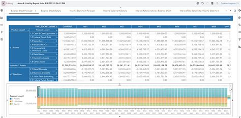 SAS Asset and Liability Management | SAS India