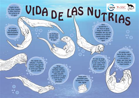 Spanish resources - Otter Ed