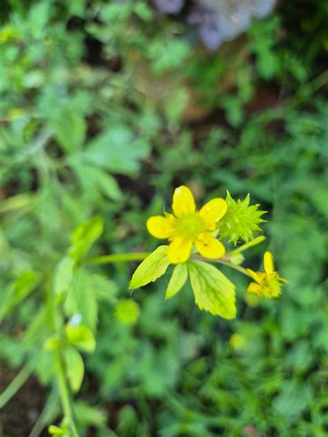 Image result for Test Spring Squareness