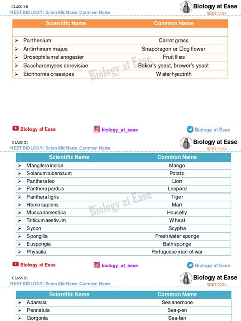 Image result for Scientific Name Example