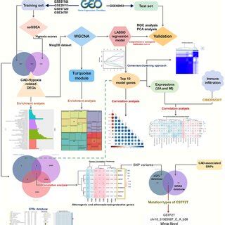 Image result for Bioinformatics Computing