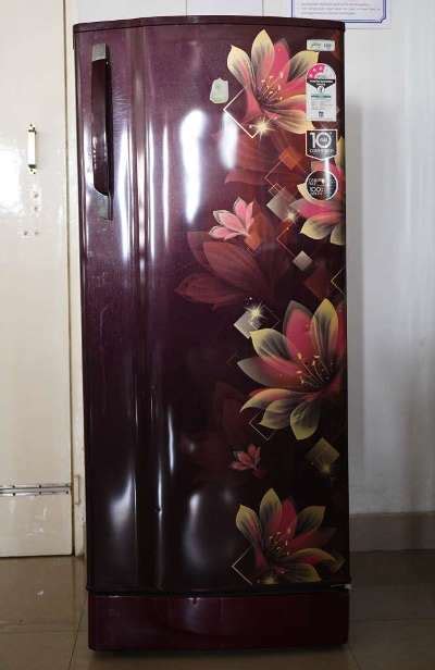 Genetics and Plant Breeding Lab at IIAST – Pioneering Genetic Research