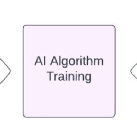 Algorithm Process 的图像结果