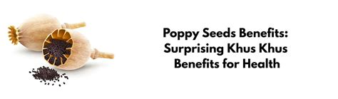 Poppy Seeds Benefits: Surprising Khus Khus Benefits for Health ...