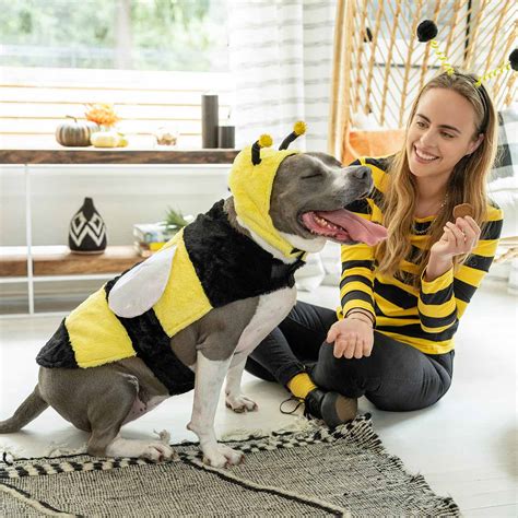 Homemade Dog Costumes For Humans