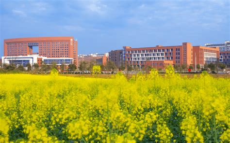 宜春职业技术学院 - 大学名单