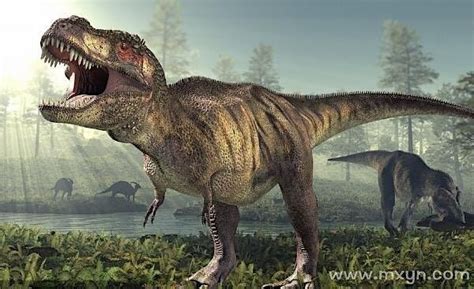 Six Extinctions, 4 April 2023 | AllEvents.in