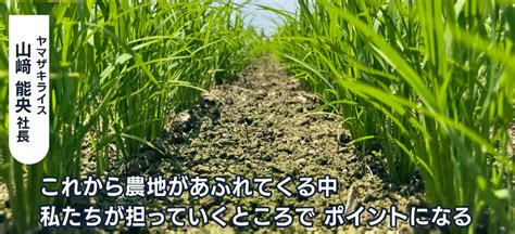 Image result for Array Method Division