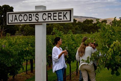 COAST & CO (2026) All You Need to Know BEFORE You Go (with Photos ...