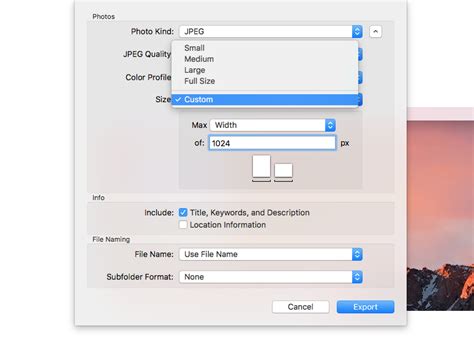 Image result for Compress Files on Mac