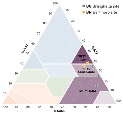 Sustainable Nitrogen Management in Olive Cultivation Through Chabazite ...