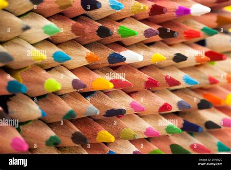 Using Color Pencils for Elementary 的图像结果