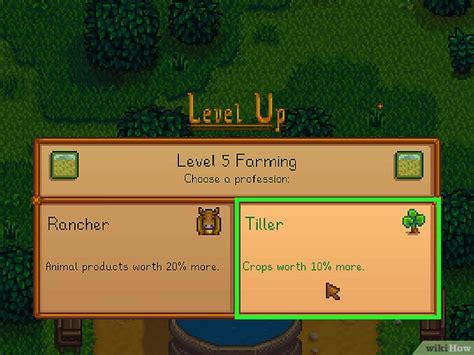 Rancher or Tiller in Stardew Valley: What to Choose