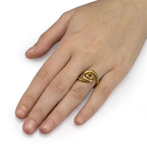 Image result for Vortex Ring