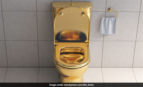 Golden Toilet इस्तेमाल करता था ट्रैफिक पुलिस अधिकारी, घर पर पड़ा छापा ...