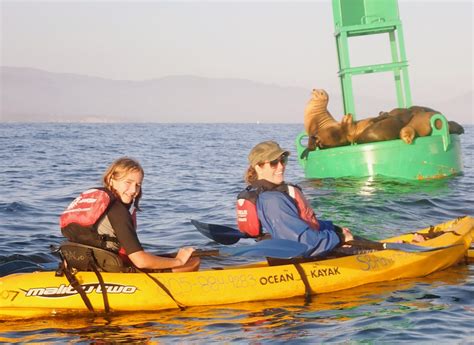 Santa Barbara Kayaking Tours | Day & Sunset Paddles