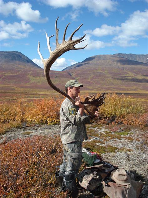 Caribou - Rainy Pass Lodge