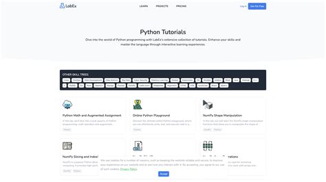 Image result for Python Tutorial Interactive