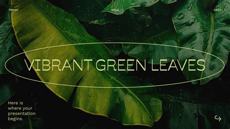 Image result for Layouts PowerPoint