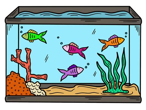 Image result for Python Fish Tank