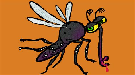 Measures to prevent getting dengue at home - India Today