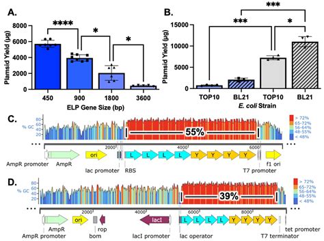 Construction of an Elastin-like Polypeptide Gene in a High Copy Number ...